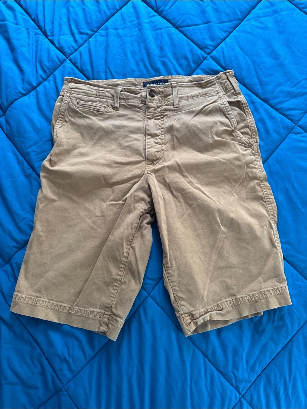 American Eagle Outfitters Tan Flat Front Men's Shorts